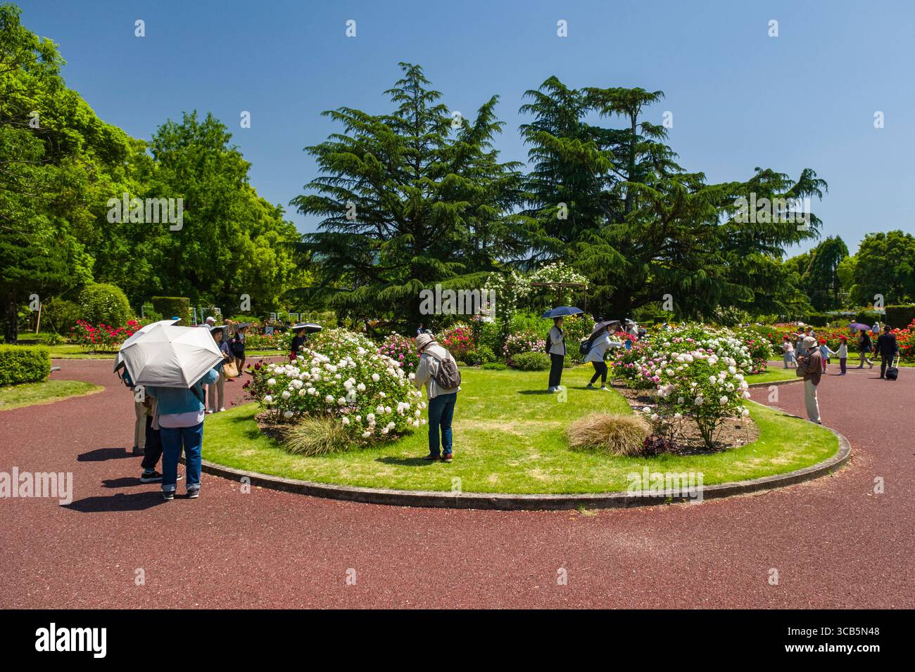 Besucher schlendern an einem sonnigen Tag durch einen malerischen Garten und genießen lebhafte Blumen und üppiges Grün. Die Leute tragen Regenschirme für Schatten Stockfoto