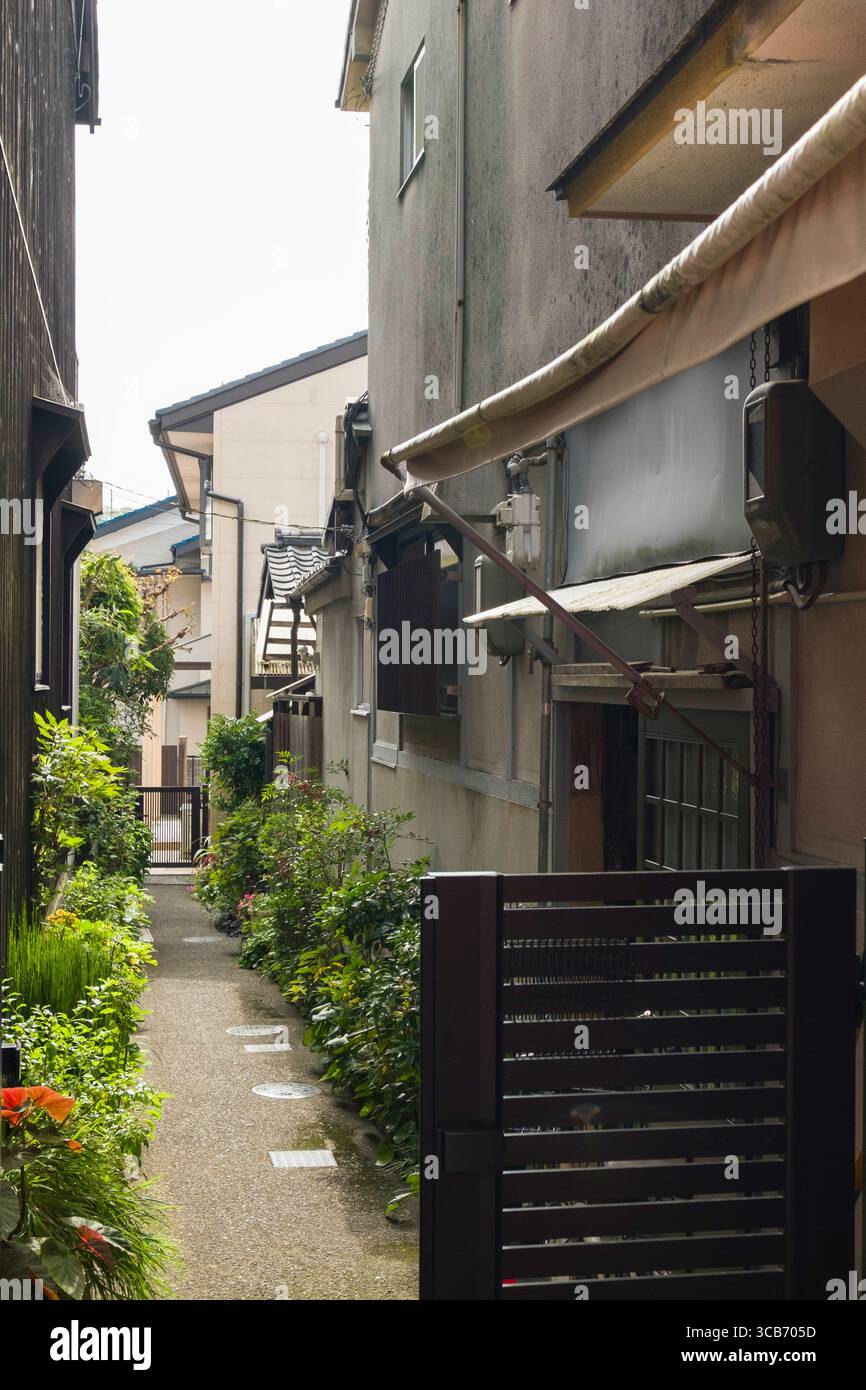 Eine enge Wohnallee gesäumt von traditionellen Häusern und üppigem Grün, die einen ruhigen und ruhigen städtischen Zufluchtsort schafft, Kyoto, Japan Stockfoto
