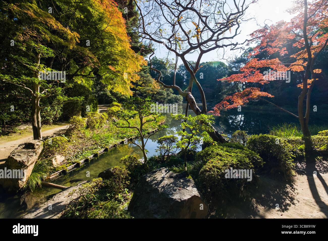Der heitere Heian Shrine Garden zeigt lebendiges Herbstlaub, das sich in einem ruhigen Teich unter natürlichem Sonnenlicht spiegelt, und schafft eine Atmosphäre der Ruhe und Schönheit Stockfoto