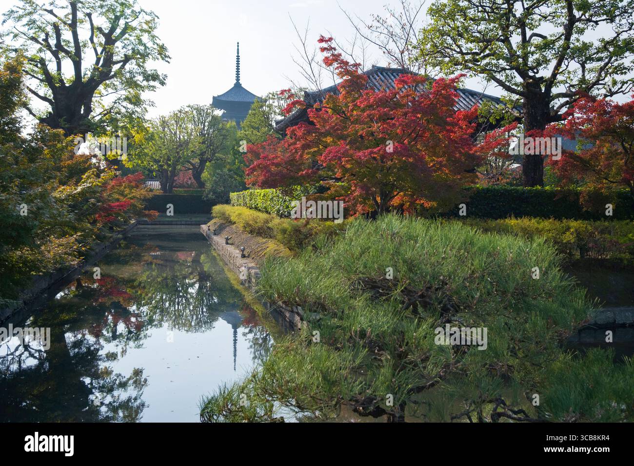 Wunderschöner To-JI Temple Garden mit lebhaftem Herbstlaub, stillen Wasserspiegeln und traditioneller Architektur im Hintergrund, die den bereichert Stockfoto