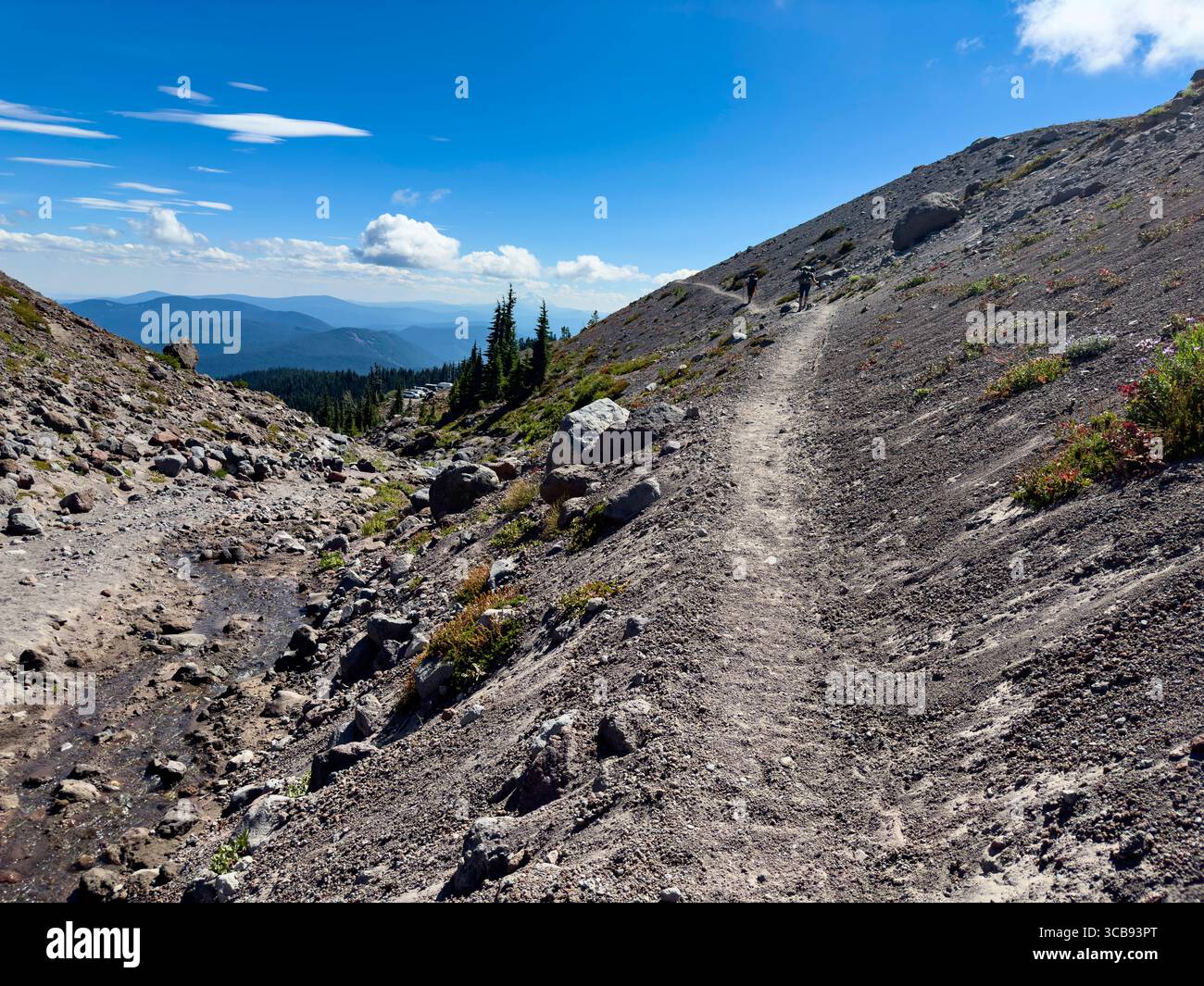 Ein zerklüfteter Bergpfad schlängelt sich durch felsiges Gelände, Timberline Trail, Mount Hood, Mount Hood National Forest, Clackamas County, Oregon, USA Stockfoto