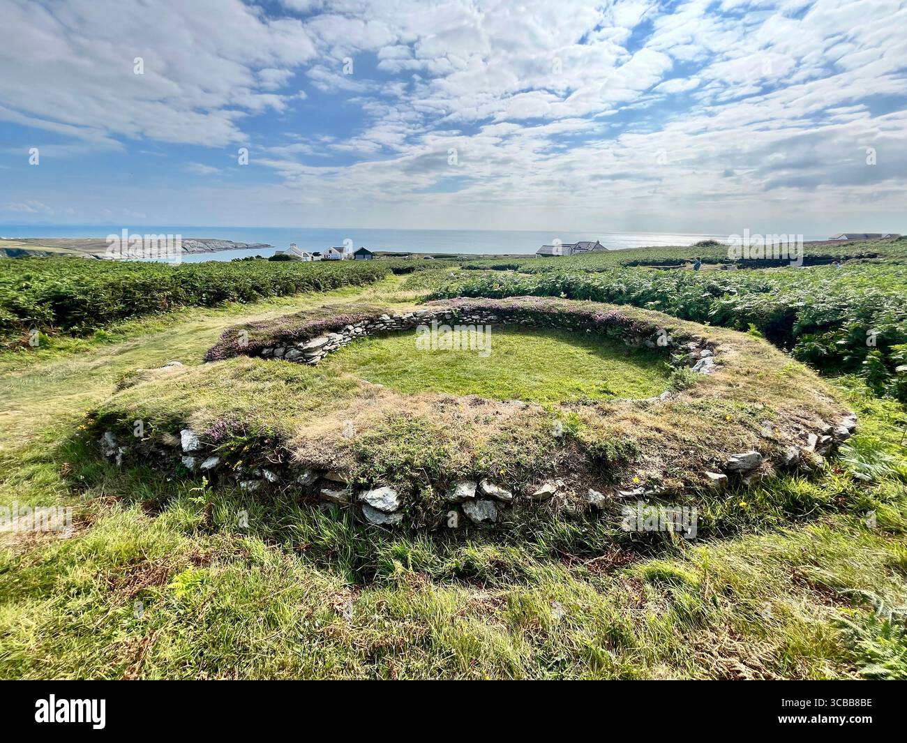 Die Überreste der Holyhead Mountain Hut Group, auch bekannt als Cytiau'r Gwyddelod (die Hütten der Iren) auf Holy Island, Anglesey. Stockfoto