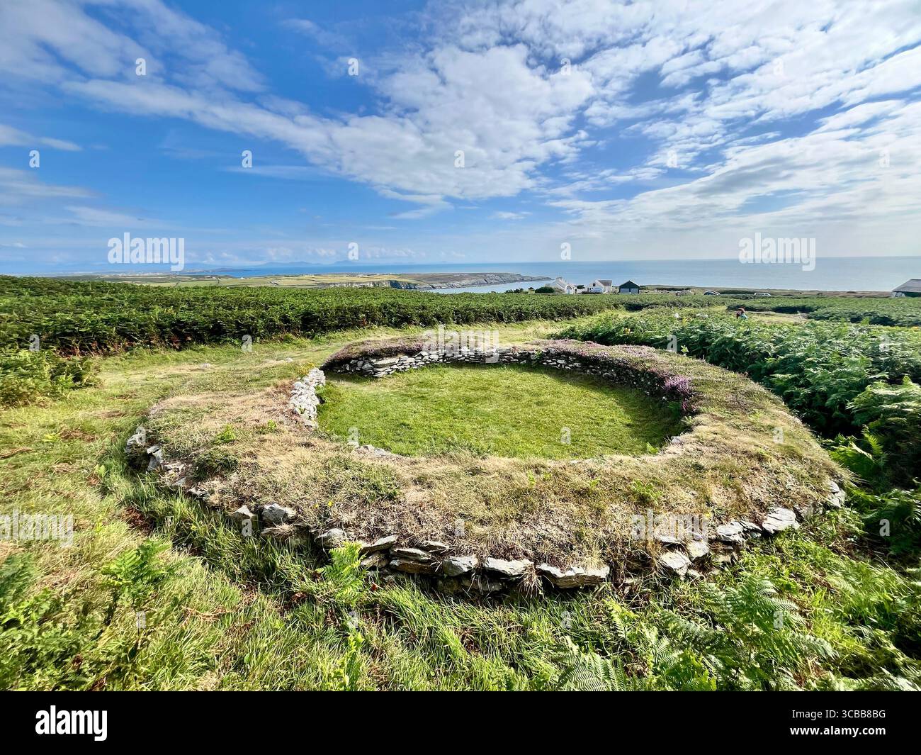 Die Überreste der Holyhead Mountain Hut Group, auch bekannt als Cytiau'r Gwyddelod (die Hütten der Iren) auf Holy Island, Anglesey. Stockfoto