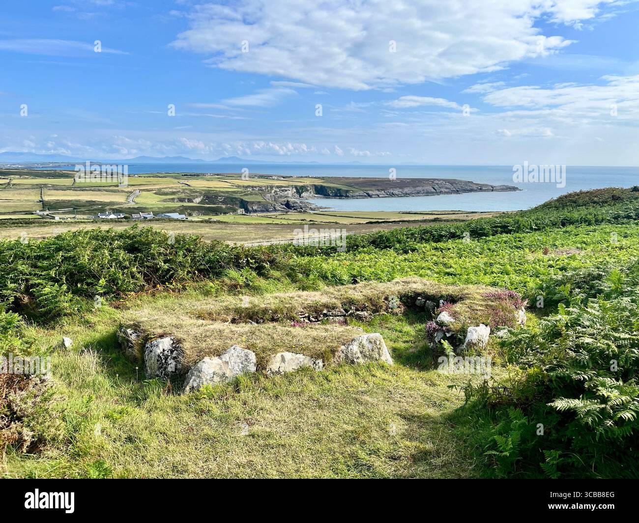Die Überreste der Holyhead Mountain Hut Group, auch bekannt als Cytiau'r Gwyddelod (die Hütten der Iren) auf Holy Island, Anglesey. Stockfoto