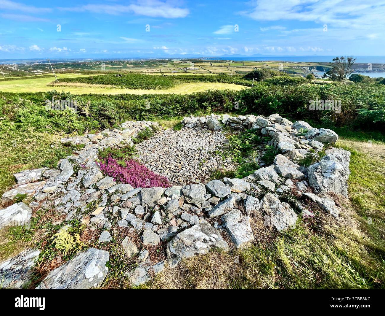 Die Überreste der Holyhead Mountain Hut Group, auch bekannt als Cytiau'r Gwyddelod (die Hütten der Iren) auf Holy Island, Anglesey. Stockfoto