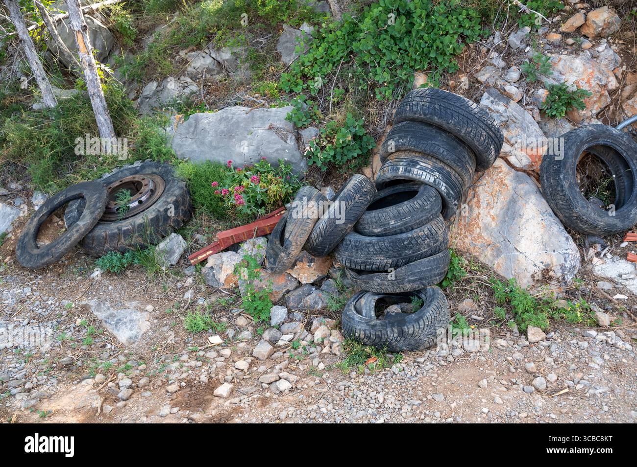 Alte Autoreifen liegen in der Natur am Straßenrand Stockfoto