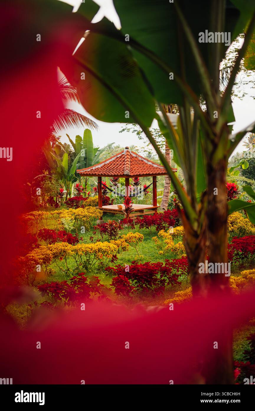 Farbenfroher Gartenlaube Durch Rote Blumen Rahmen Tetebatu Lombok Stockfoto