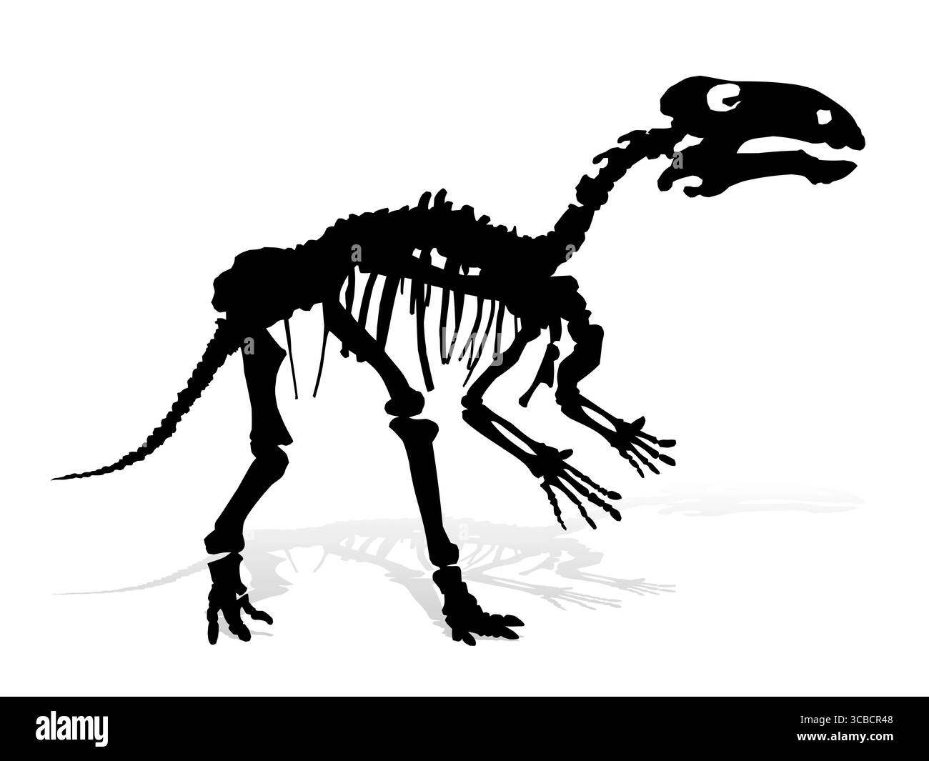 Das Skelett des alten großen Dinosauriers. Stock Vektor