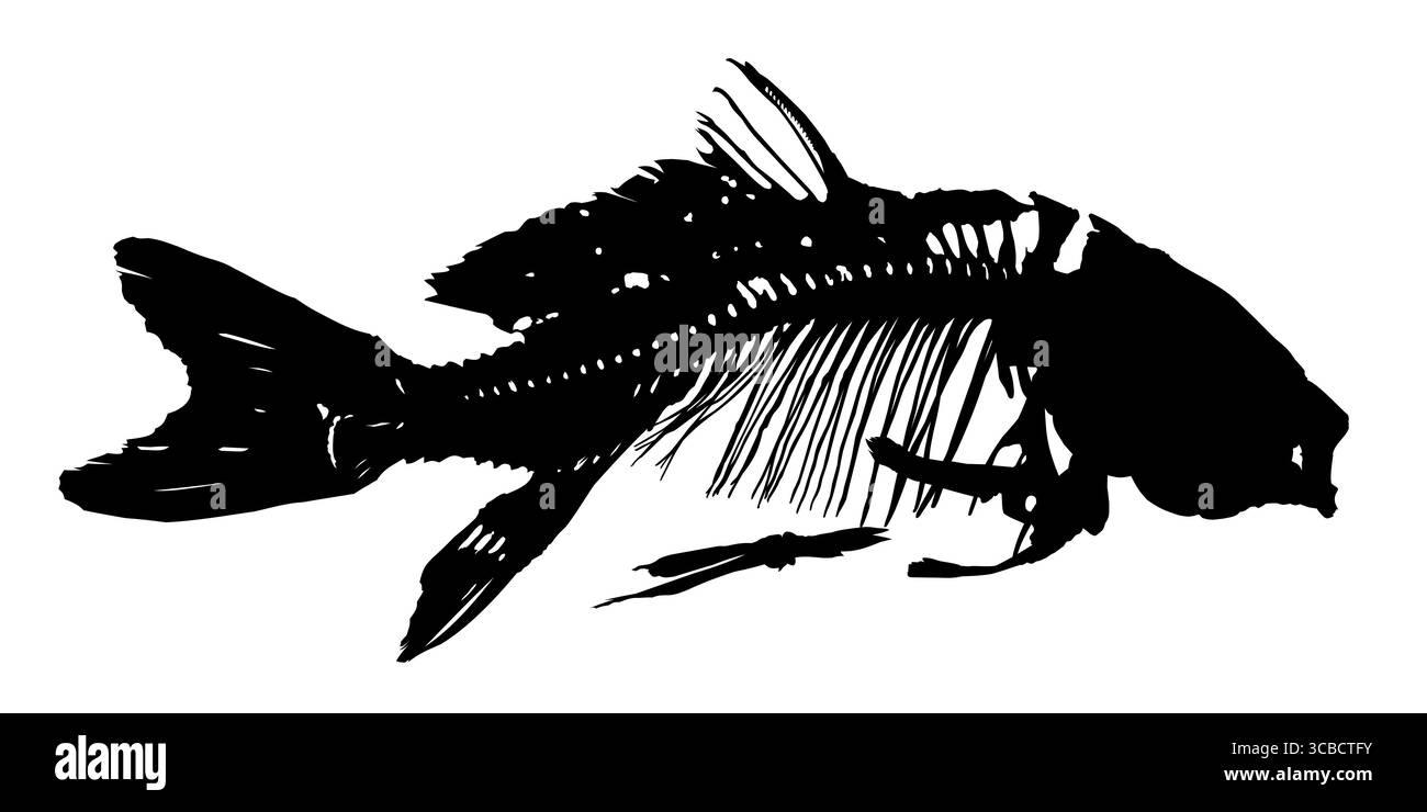 Ein Skelett von großen Raubfischen. Stock Vektor