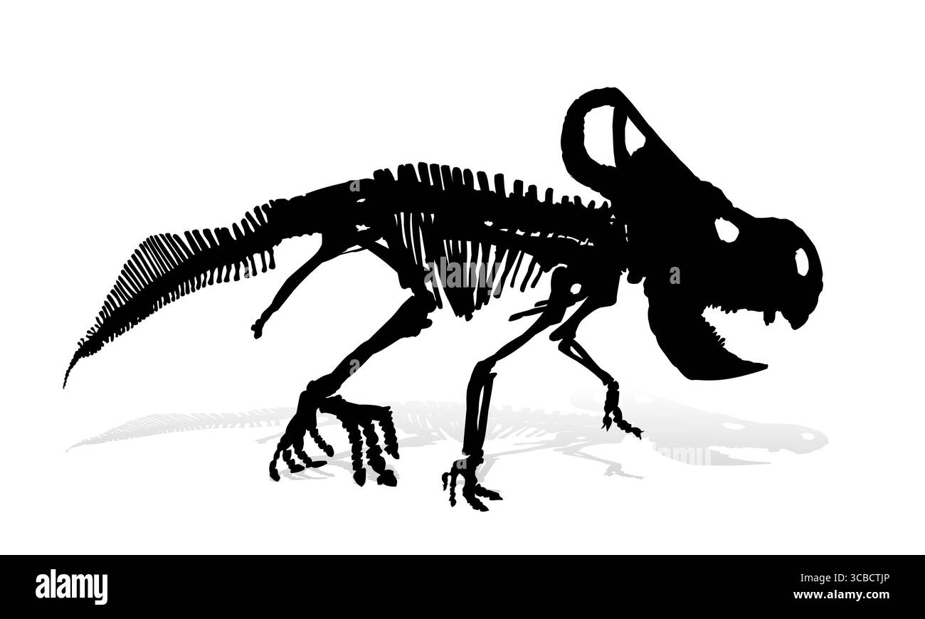 Das Skelett des alten großen Dinosauriers. Stock Vektor