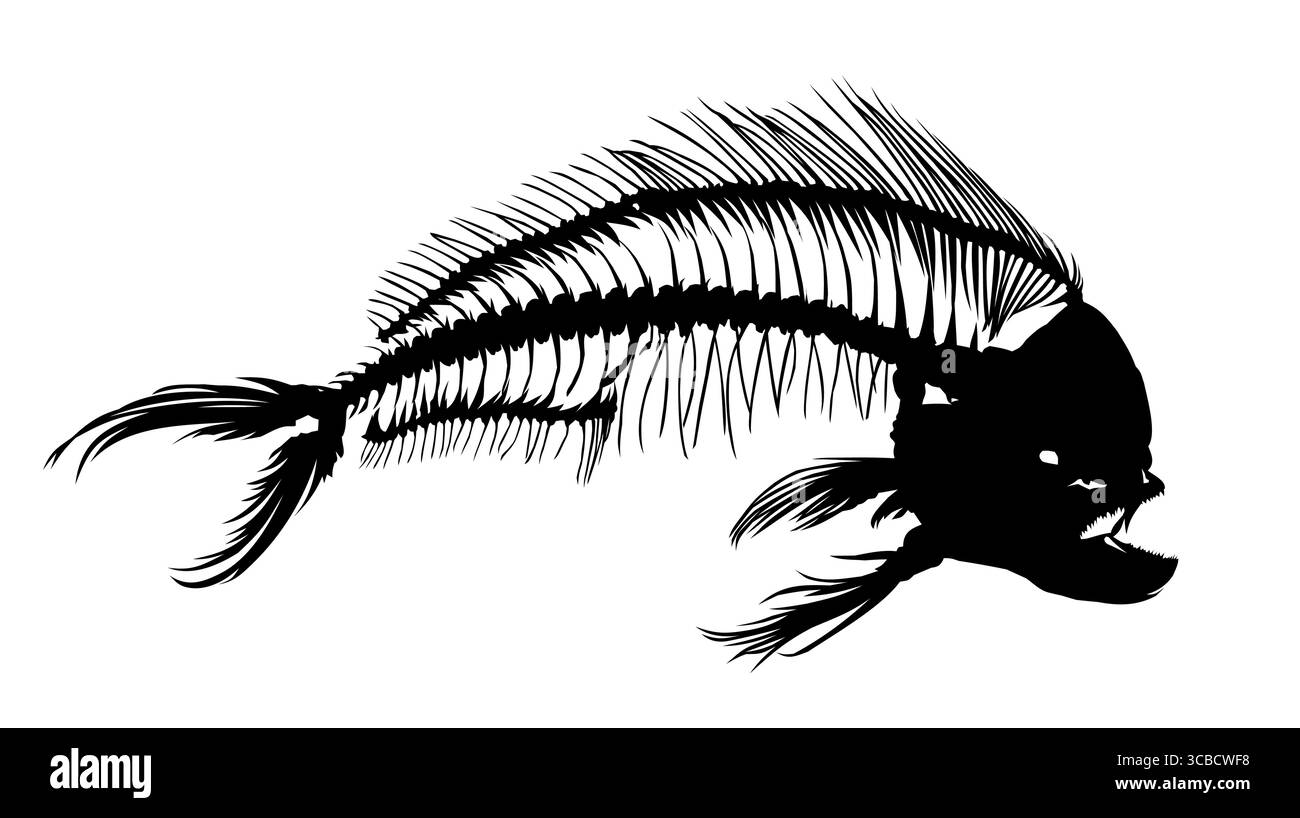Ein Skelett von großen Raubfischen. Stock Vektor