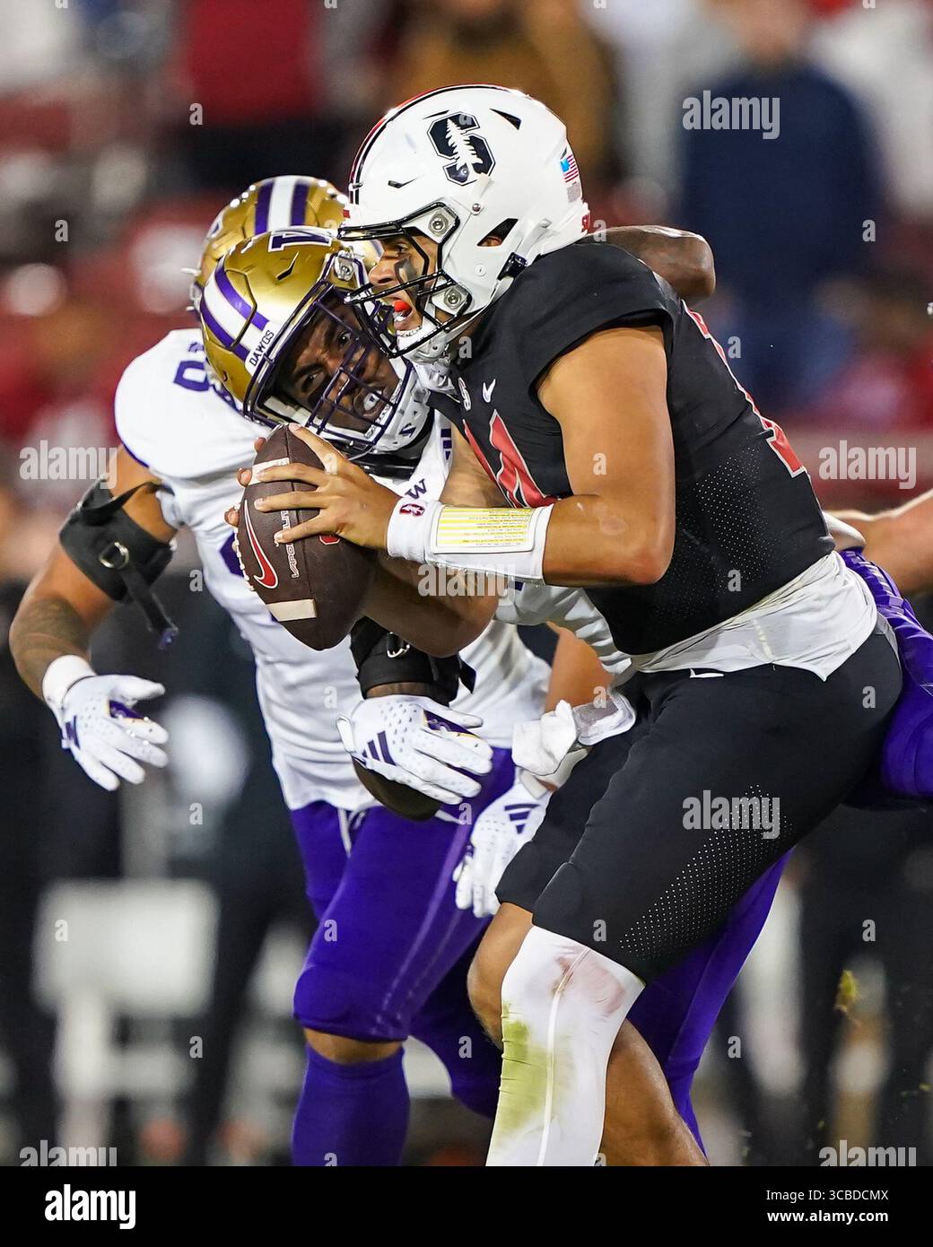28. Oktober 2023, Stanford, Kalifornien, USA: Washingotn Huskies entließ Stanford Cardinal Quarterback Myles Jackson (9) während des vierten Quartals beim NCAA-Fußballspiel Washington Huskies gegen Stanford Cardinal im Stanford Stadium. (Bild: © Jose Moreno/ZUMA Press Wire) Stockfoto