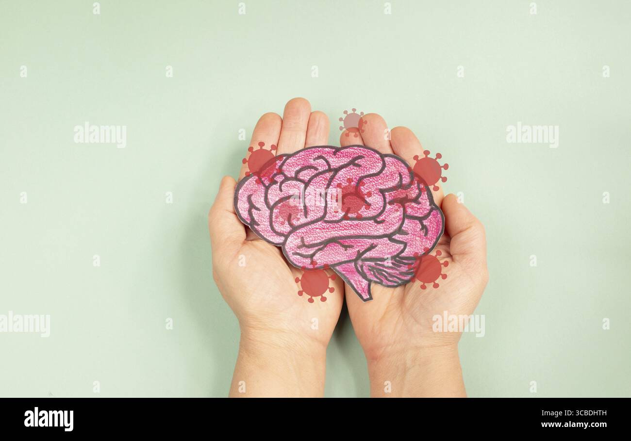 Gehirn mit Borna-Krankheit-Virus-Infektion, neurologische Krankheit, die Tier und Mensch betrifft, Enzephalitis und Depression, Bornaviren, BDV Stockfoto