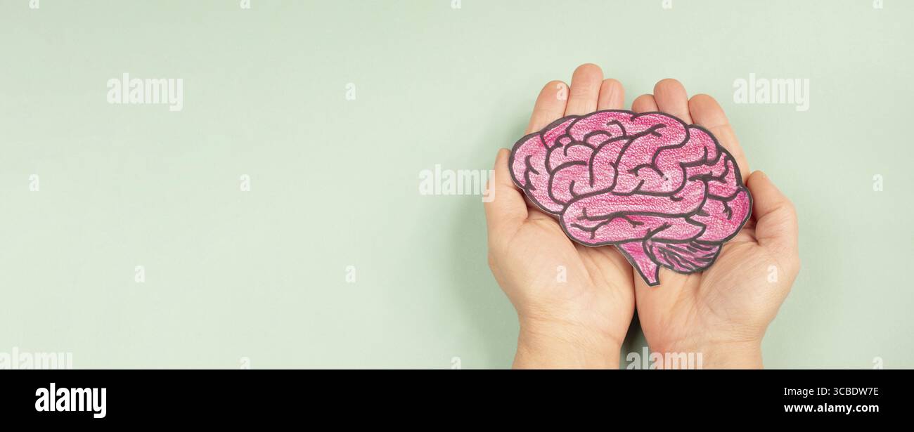 Epilepsie, alzheimer, Migräne Kopfschmerz Anfall, Gehirn infiziert mit borna Virus, Geist mit Burnout und Stress, Krebs Tumor Stockfoto