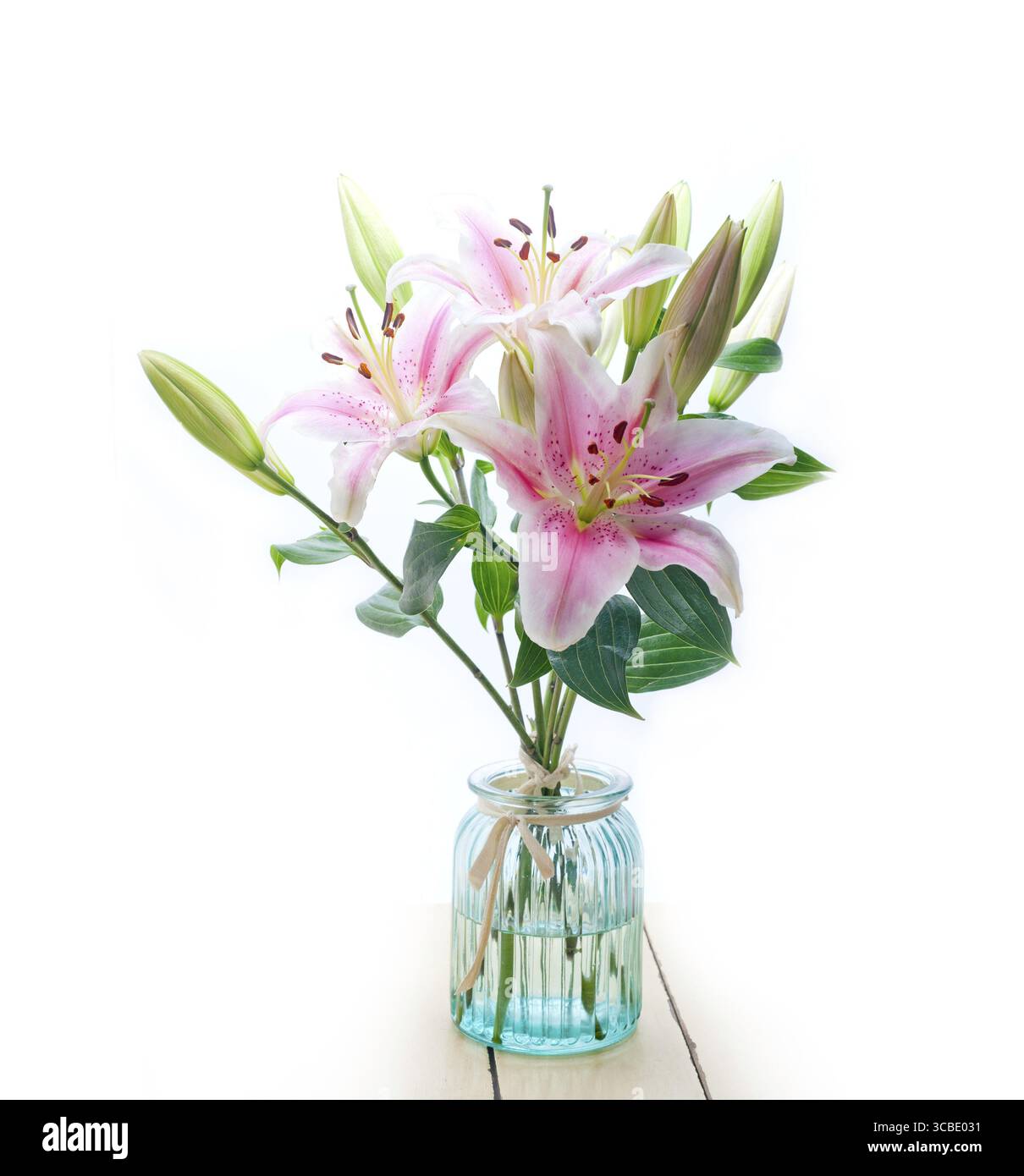 Rosa Lilie Blumenstrauß über weißem Copyspace Stockfoto