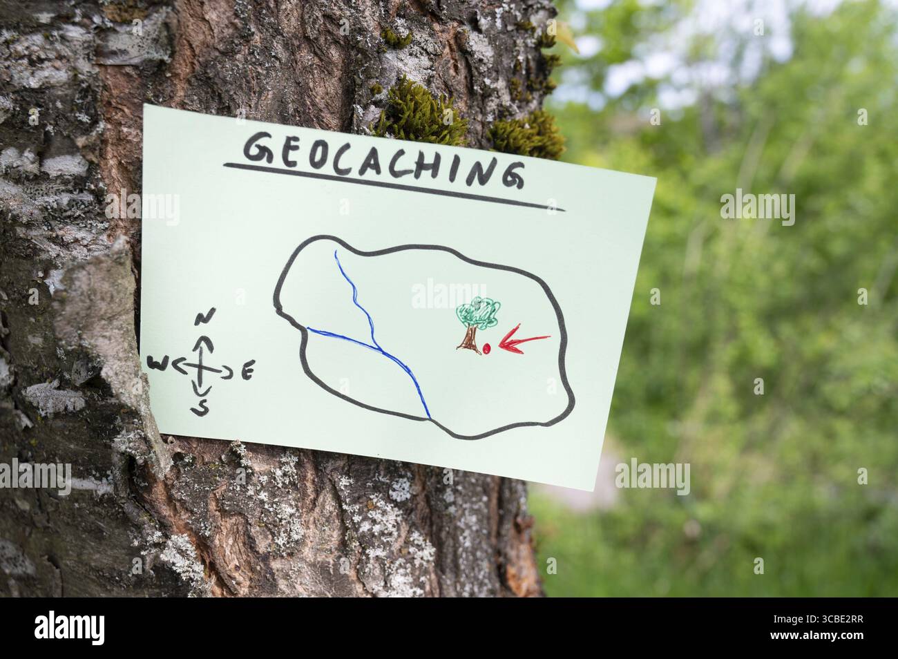 Geocaching, Freizeitaktivitäten im Freien, Navigation zum Verstecken und Suchen von Containern, Geocache-Standort im Wald, Schatzjagd-Spiel, Hinweis auf Baum tr Stockfoto