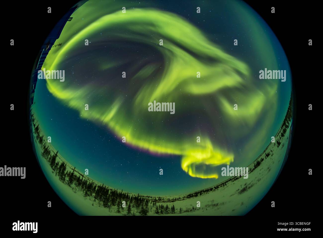 4. März 2022, Alberta, Kanada: Eine 360Â°-Fischperspektive einer himmelsaurora am 4. März 2022 aus dem Churchill Northern Studies Centre, Churchill, Manitoba. Das sieht nach Norden, aber die Linse nimmt den größten Teil des Himmels ein, einschließlich des Zenits oben, wo die Vorhänge zusammenlaufen und wirbeln, und in der Nähe des Big Dipper. Beachten Sie den subtilen pinken Stickstoffrand entlang des unteren Vorhangs. ..Dies ist eine 14-sekündige Belichtung mit dem TTArtisan 7,5 mm Objektiv bei f/2 und der Canon EOS Ra Kamera bei ISO 800. Es ist ein Bild aus einer 635-Frame-Zeitraffersequenz, die über 3 Stunden in dieser Nacht aufgenommen wurde. (Kreditbild: © Stockfoto
