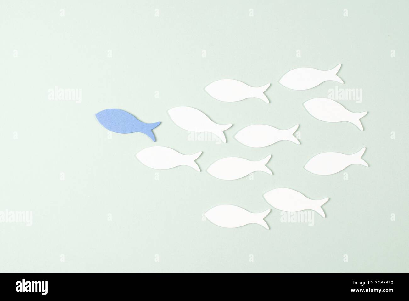 Blue Fish ist Gruppenleiter, arbeitet als Team, neue Ideen, Ziele, Pläne und Strategien für den Erfolg, Teamwork-Konzept Stockfoto