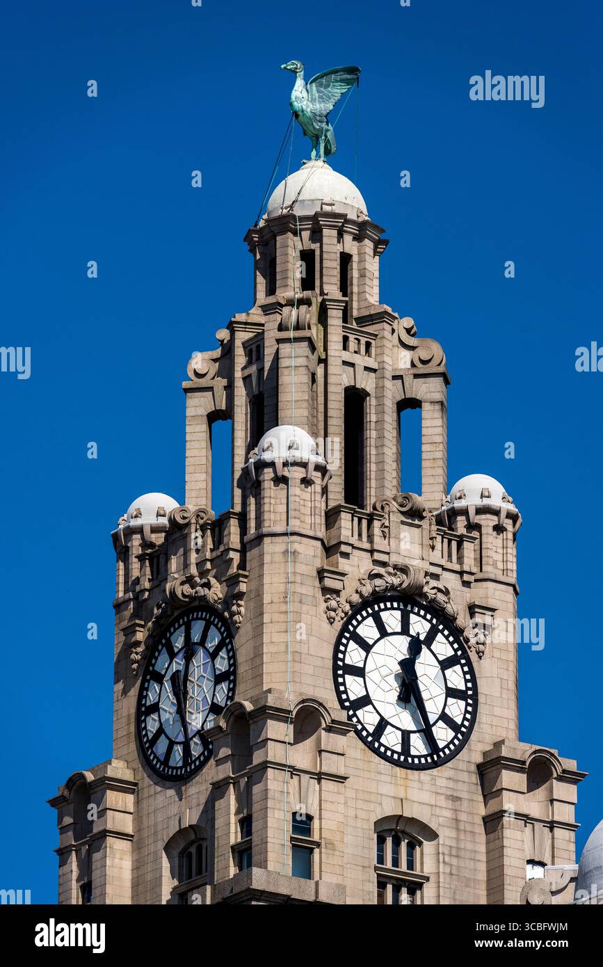 Nahaufnahme des Liver Bird und des Uhrenturms auf dem Royal Liver Building am zum UNESCO-Weltkulturerbe gehörenden Pier Head in Merseyside, England, Großbritannien. Stockfoto