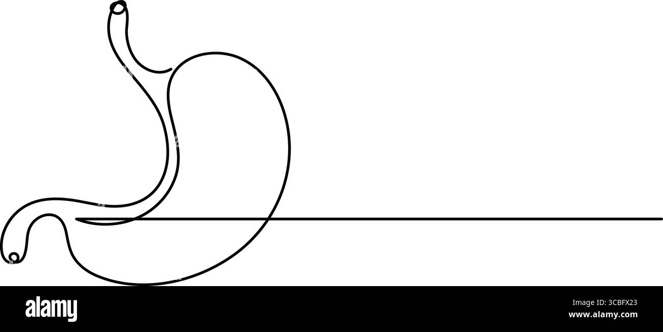 Menschliches Magensymbol durchgehende einzeilige Zeichnung für anatomische und medizinische Designkonzepte Stock Vektor