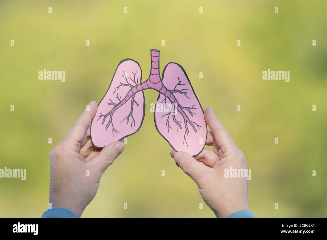 Menschliche Lunge vor Wald, Bäume für frische gesunde Atemluft, Verschmutzung verursacht Asthma Gesundheitsproblem, Umweltkonzept Stockfoto