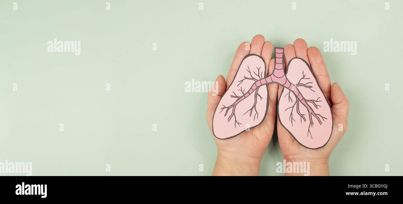 Lunge mit Krebszellen, Virus- und Luftverschmutzung, Tuberkulose, lange covid- oder Asthma-Krankheit, kein Tabaktag, Organspende Stockfoto