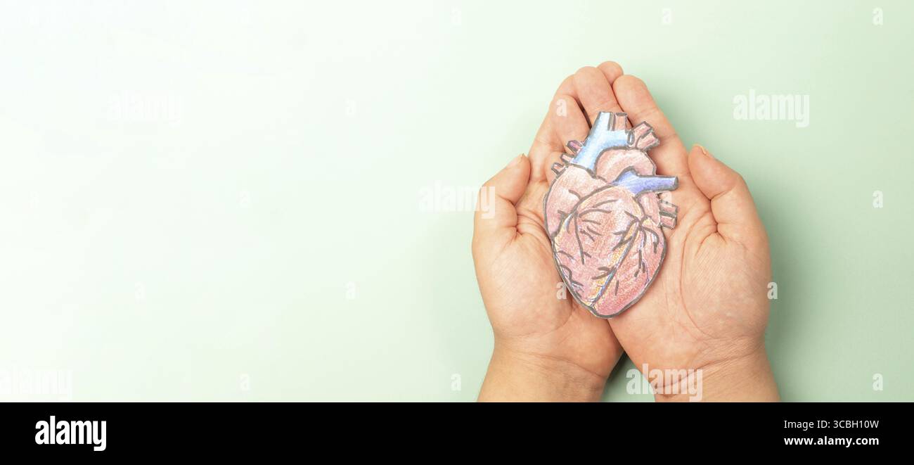 Herzinfarkt, Myokarditis Krankheit, Entzündung des Muskels, Thrombose und Herzstress, Herzfrequenz und medizinischer Zustand Stockfoto