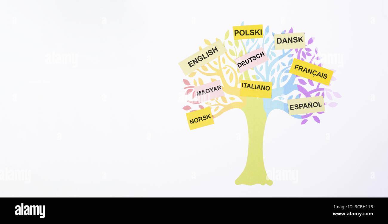 Europäischer Sprachbaum, verschiedene in Europa gesprochene Sprachen, Konzept der mehrsprachigen Wirtschaft und Gemeinschaft, Mehrsprachigkeit in der EU Stockfoto