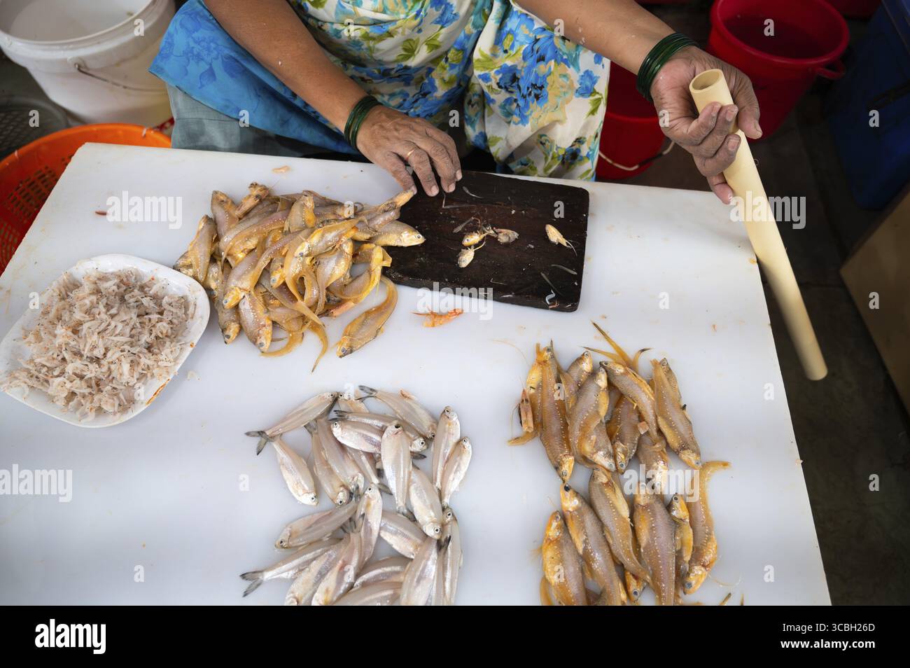 Fischmarkt in Mumbai Indien, Marktstand mit frisch gefangenen Meeresfrüchten, Fischindustrie am Arabischen Meer Stockfoto