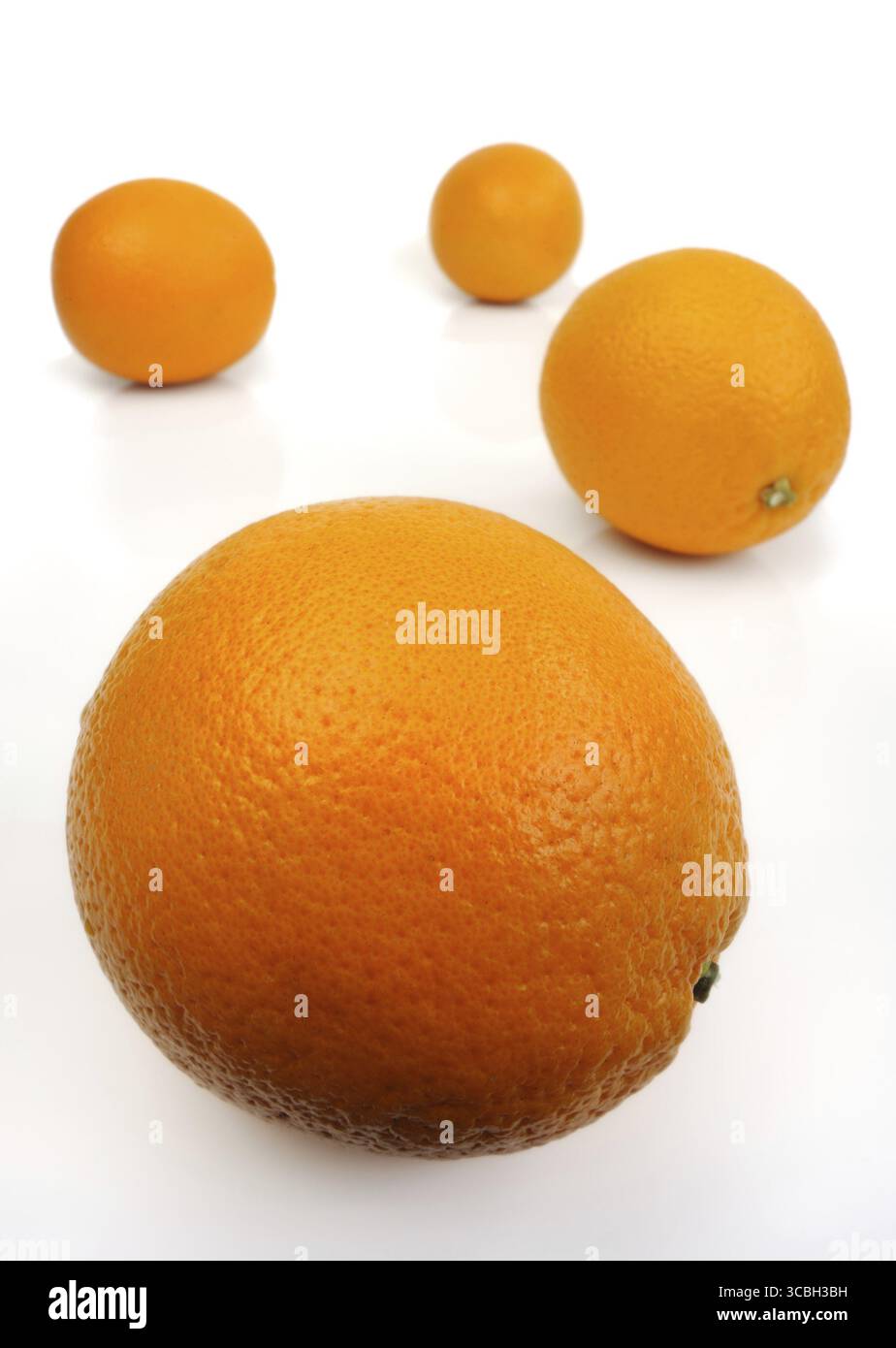 Orangen auf weißem Hintergrund Stockfoto