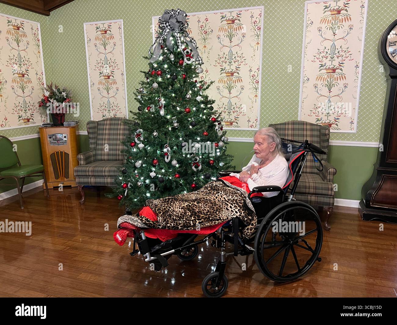 18. Dezember 2022, Memphis, Tennessee, USA: Ein erheblicher Teil der älteren Bevölkerung wird über die Feiertage einsam und isoliert sein, was zu Urlaubsblues beiträgt. (Kreditbild: © Karen Focht/ZUMA Press Wire) Stockfoto