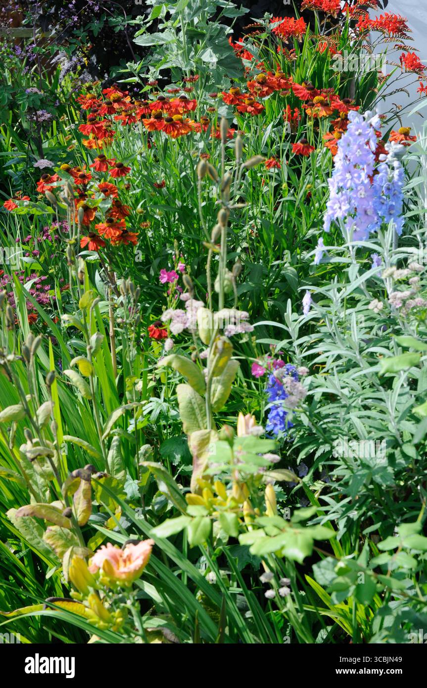 Ein lebendiger Garten mit einer Vielzahl von bunten Blumen, die unter der Mittagssonne helle Rot-, Veilchen- und Grüntöne zeigen. Stockfoto