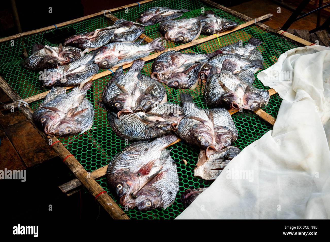 Februar 2023, Bangkok, Bangkok, Thailand: Fisch wird gesäubert, bevor er auf einem Markt im Freien verkauft wird. (Kreditbild: © Matt Hunt/ZUMA Press Wire) Stockfoto