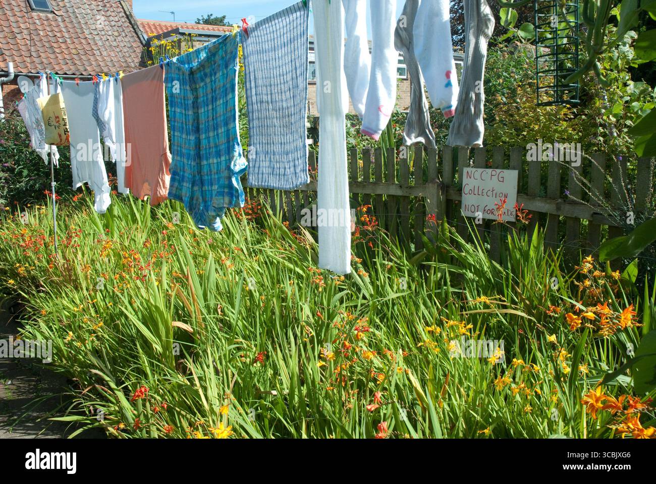 Bunte Kleidung hängt an einer Schlange in einem sonnigen Garten, umgeben von üppigem Grün und blühenden Blumen. Stockfoto