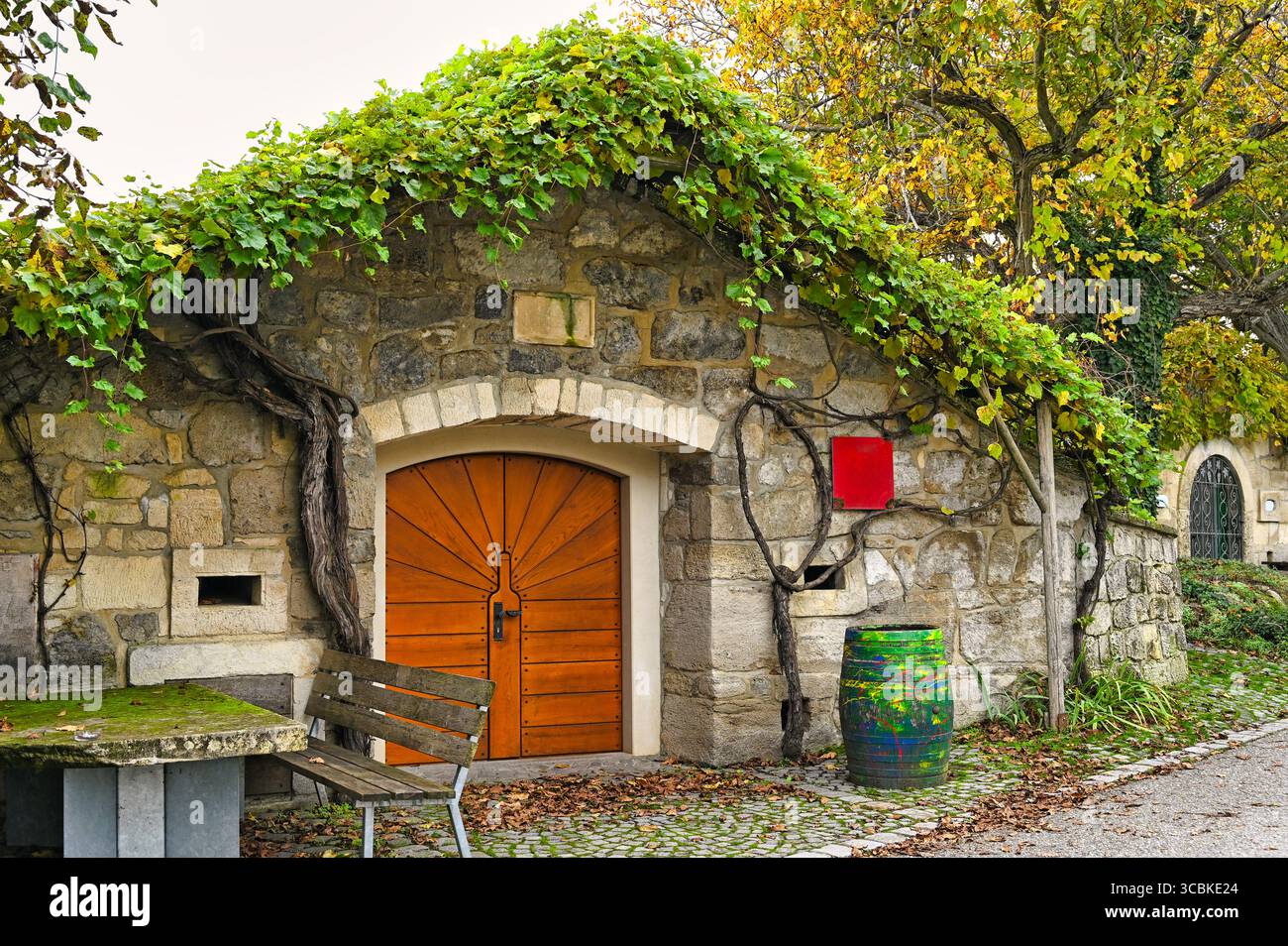 Alter Steinweinkeller in Purbach, Burgenland, Österreich Stockfoto