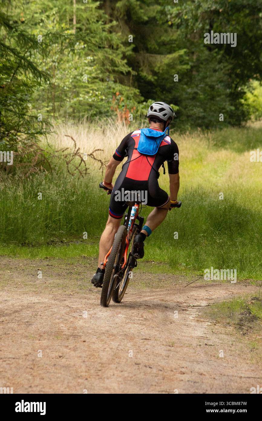 Radfahrer Fahren Durch Die Wege Des Sunny Forest Stockfoto