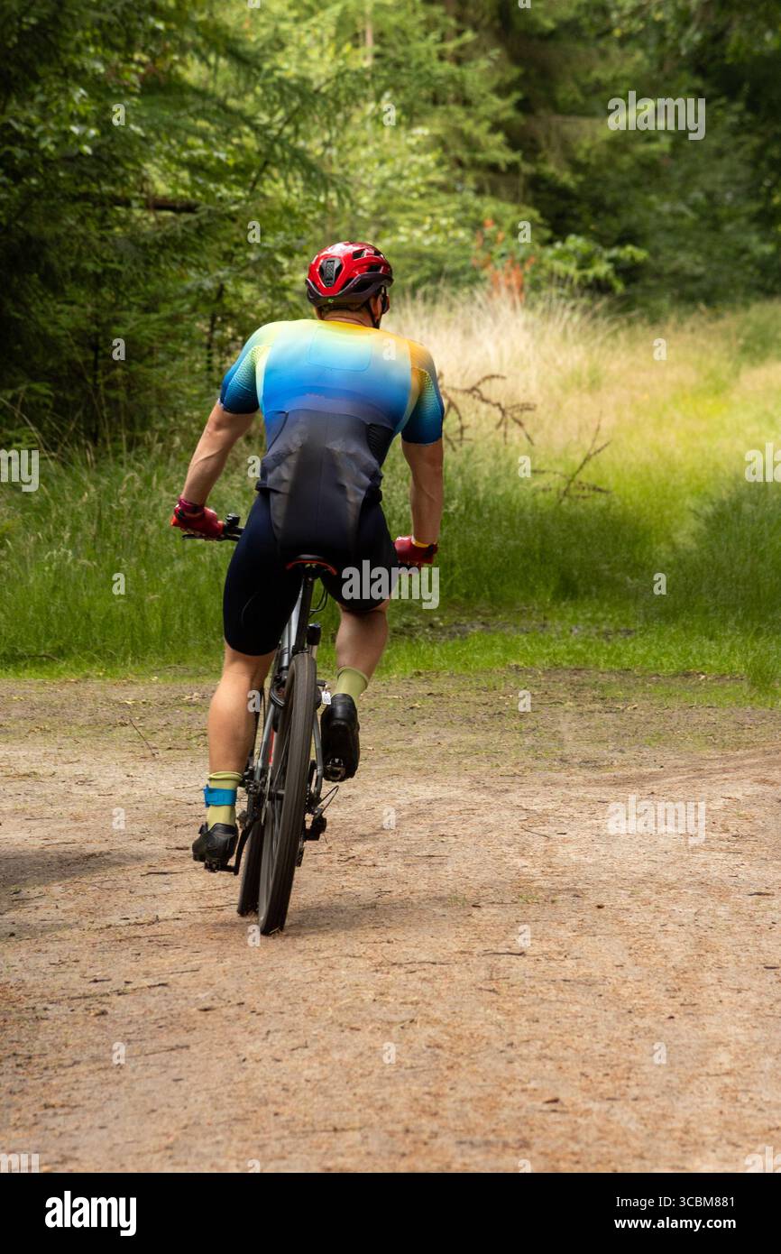 Pedalkraft, aufregendes Mountainbike-Abenteuer im Wald Stockfoto