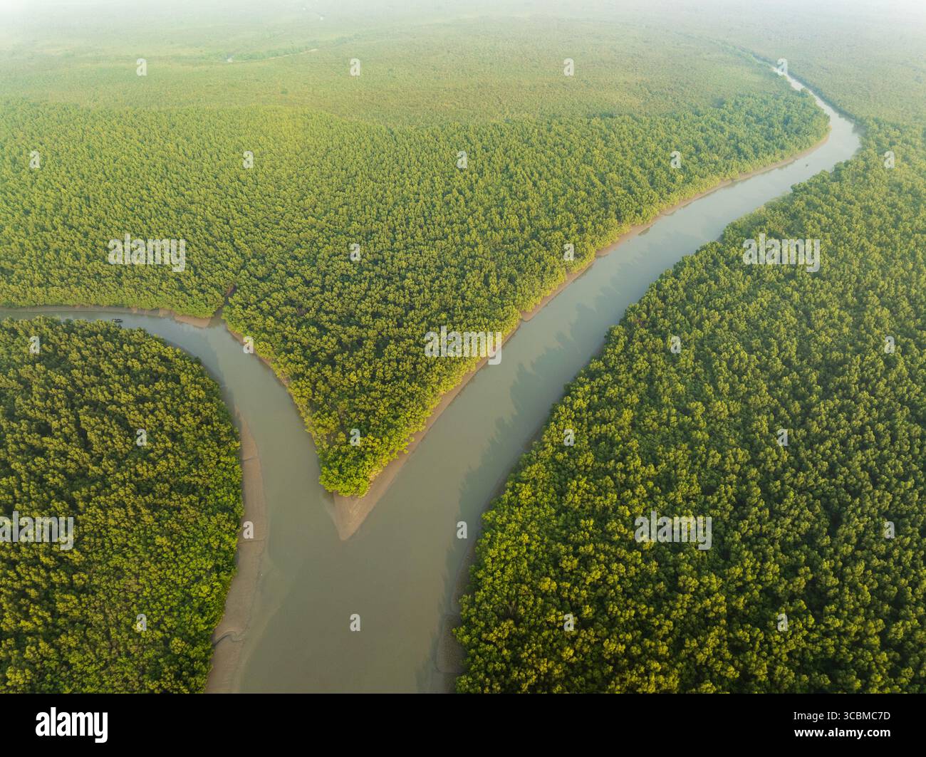 Aus der Vogelperspektive auf den sich windenden Fluss, der sich durch einen dichten, grünen Wald schlängelt, dessen Wasser den Himmel reflektiert, Sundarban, Khulna Division, Bangladesch. Stockfoto