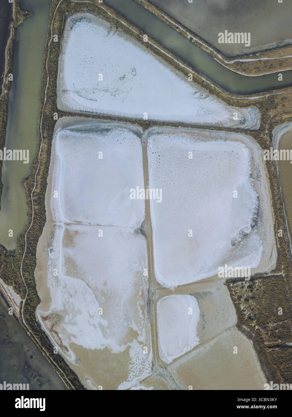 Aus der Vogelperspektive auf sonnenverwöhnte Salinen und pulsierende Wasserstraßen bilden ein faszinierendes Mosaik aus Texturen und Tönen, eine Symphonie der Kunstfertigkeit der Natur., Frontignan, Occitanie, Frankreich. Stockfoto