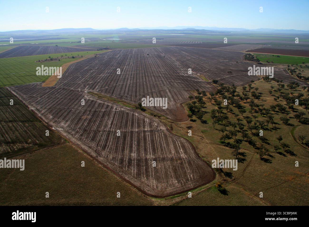 Ackerland auf der liverpool Plains im Norden nsw Stockfoto