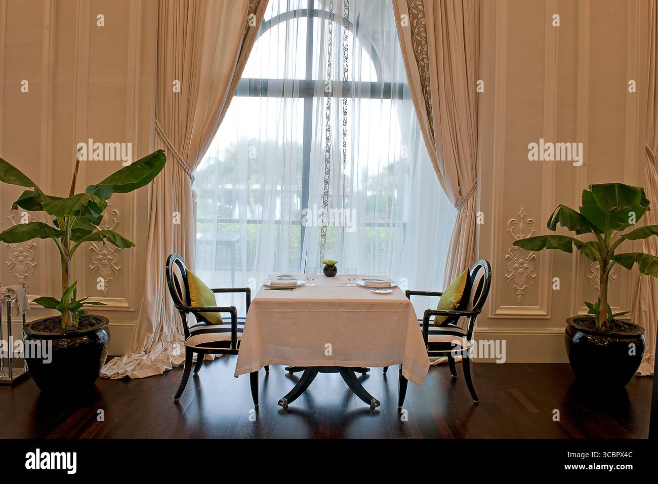 Eleganter, feiner Esstisch für zwei Personen neben großen Bogenfenstern mit transparenten Vorhängen, Topfpflanzen und luxuriöser Inneneinrichtung. Stockfoto