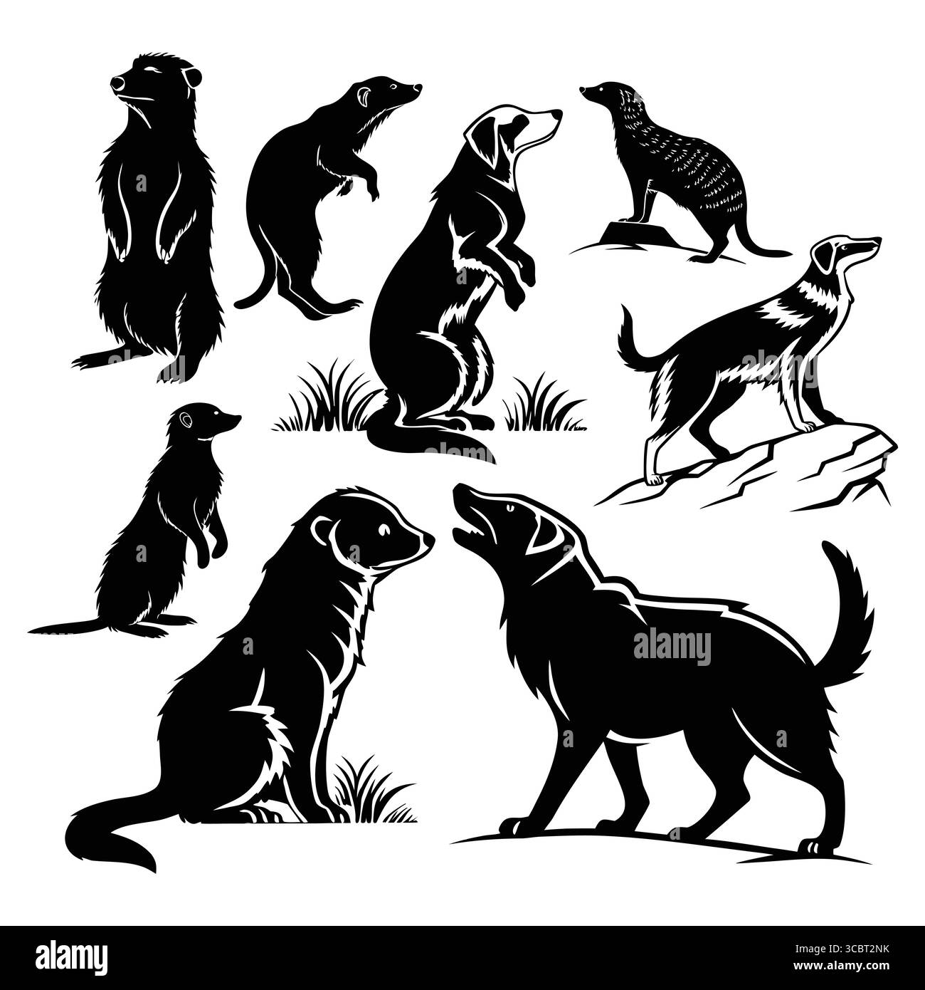 Silhouettenkompilation von Aussiepom, Meerkats und Hunden in einzigartigen Posen Stock Vektor