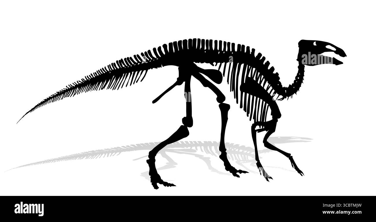 Das Skelett des antiken Dinosauriers. Stock Vektor