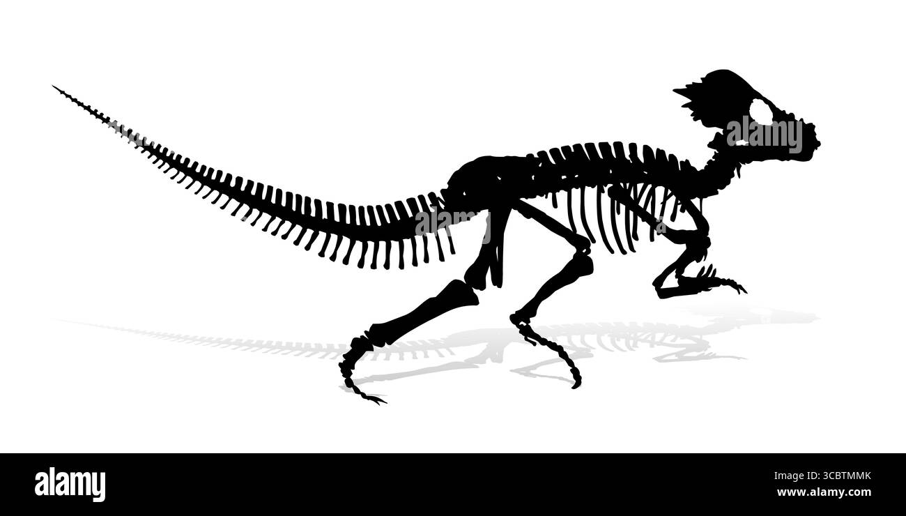 Das Skelett des alten großen Dinosauriers. Stock Vektor