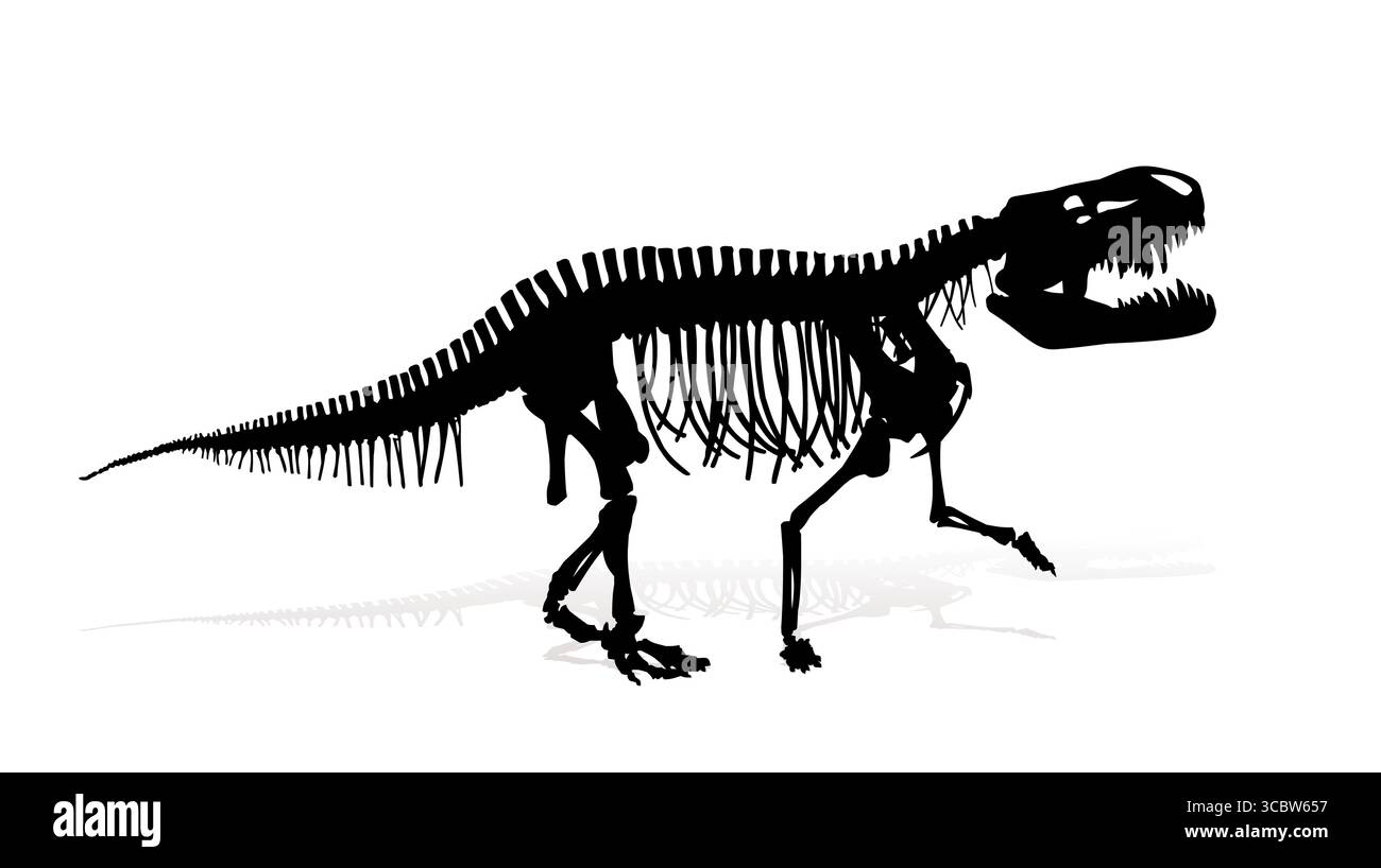 Das Skelett des alten großen Dinosauriers. Stock Vektor