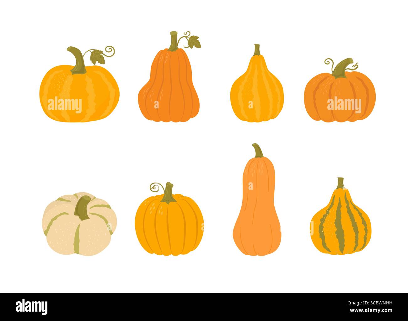 Kürbisset in verschiedenen Formen und Farben auf weißem Background. Traditionelles Herbstgemüse, Ernte. Thanksgiving- und Halloween-Elemente. Bio-Lebensmittel Stock Vektor
