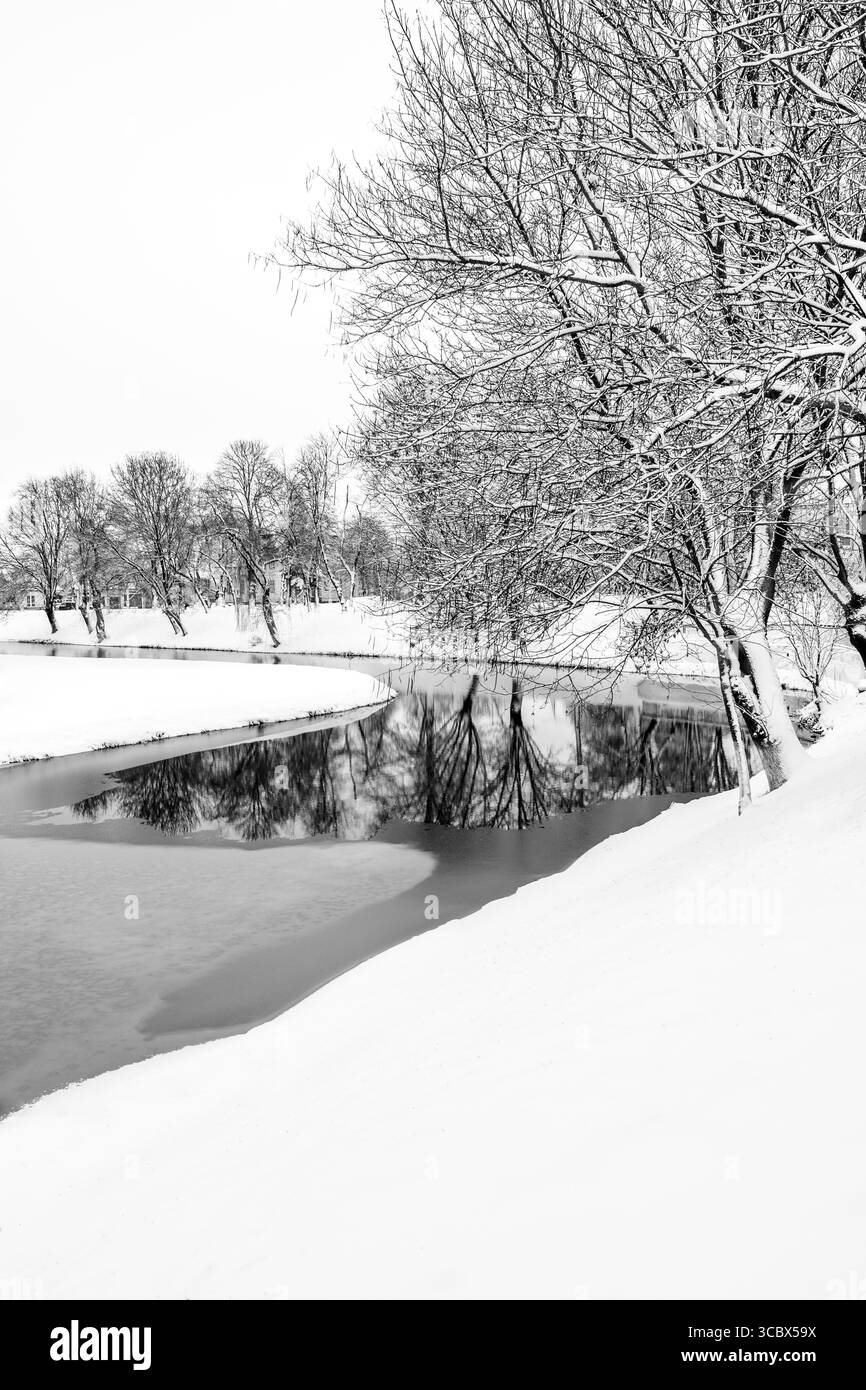 Winterlandschaft eines gefrorenen Sees mit leeren Bäumen am schneebedeckten Ufer in schwarz-weiß; kalter Wintertag am Wasser in Fagaras, Brasov Graf Stockfoto