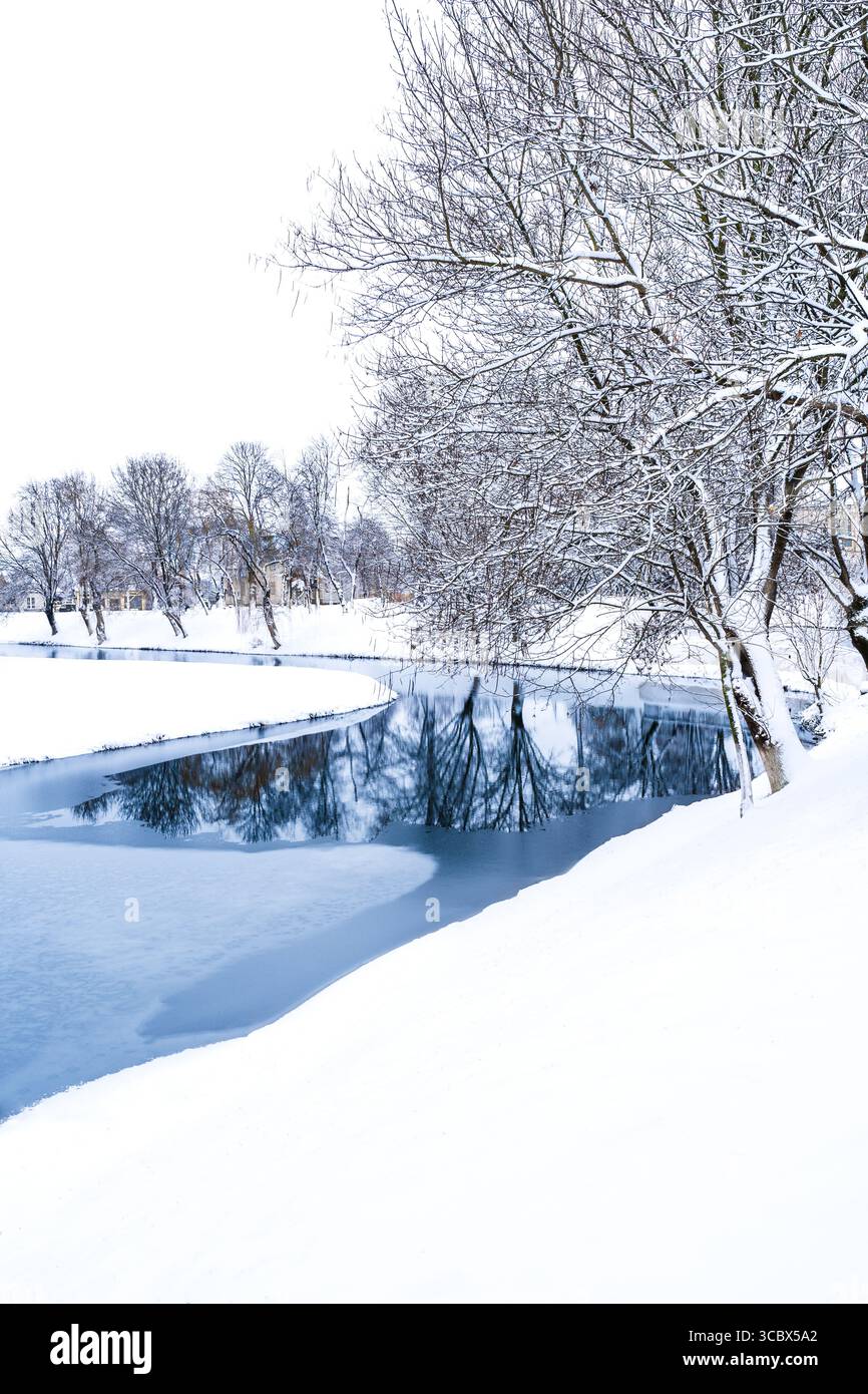 Winterlandschaft eines gefrorenen Sees mit leeren Bäumen am schneebedeckten Ufer; kalter Wintertag am Wasser in Fagaras, Grafschaft Brasov, Transsilvanien, Ro Stockfoto