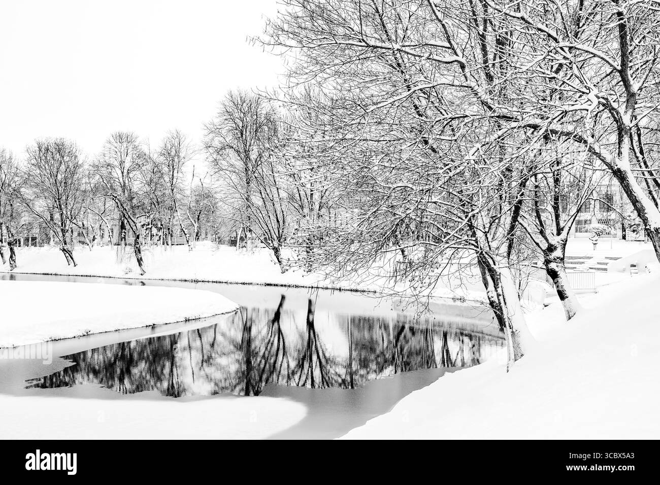 Winterlandschaft eines gefrorenen Sees mit leeren Bäumen am schneebedeckten Ufer; kalter Wintertag am Wasser in Fagaras, Grafschaft Brasov, Transsilvanien, Ro Stockfoto