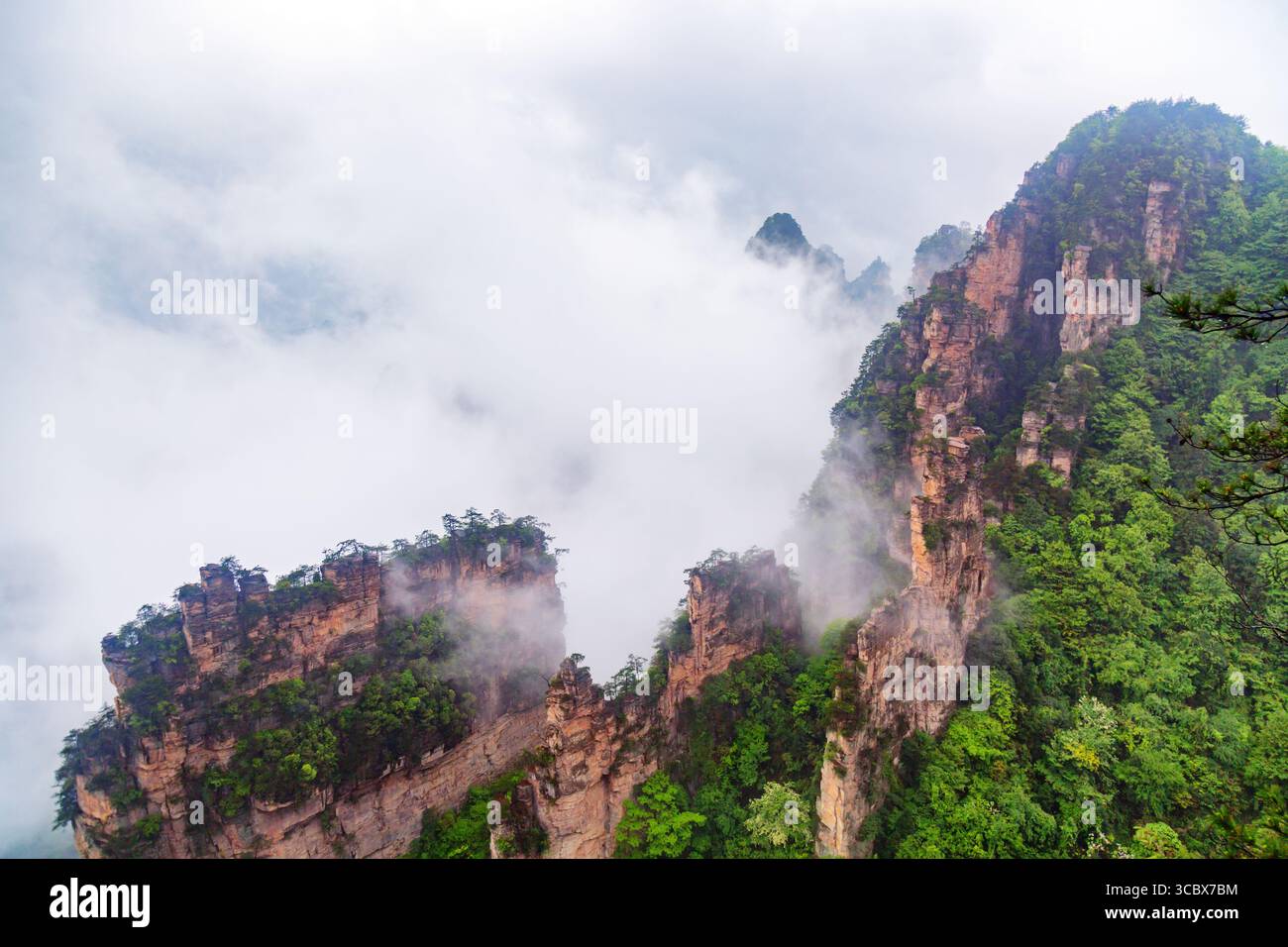 Fantastische natürliche Landschaft mit Steinsäulen Quarzberge in Nebel und Wolken. Zhangjiajie Nationalpark. Berühmte Touristenattraktion in Wulingyuan, Hu Stockfoto